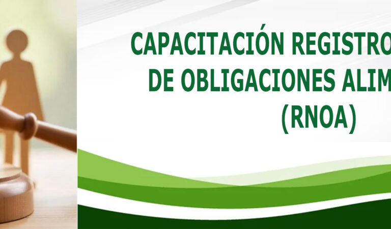 Capacitación Registro Nacional de Obligaciones Alimentarias (RNOA)