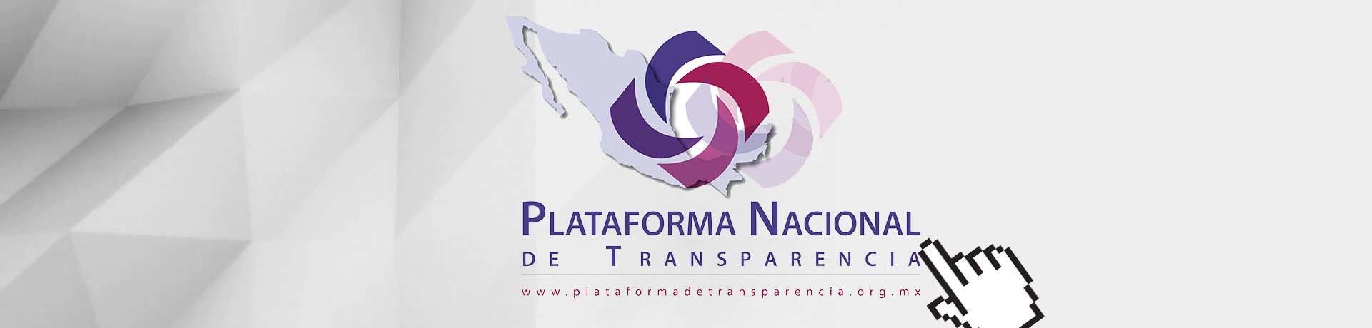 Obligaciones de transparencia